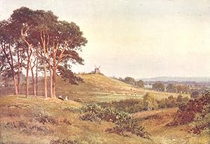 Seller image for Reigate Heath, Evening for sale by Antiqua Print Gallery