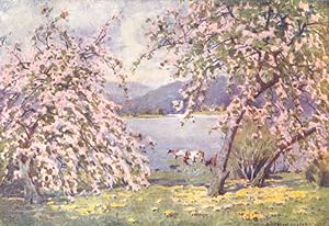 Seller image for Esthwaite water: Apple blossom for sale by Antiqua Print Gallery