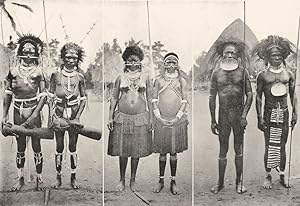 Immagine del venditore per Two Mekeo (New Guinea) men decorated for a ceremonial dance with shells, dogs' teeth, feathers, etc. The circular ornaments on their foreheads are made of fretted turtle shell with a flat white shell background. These are honourable decorations, indicating that the wearers have taken life in battle; Two Mekeo women decorated for a ceremonial dance. Their petticoats are coloured red and yellow in vertical bands. At each step of the dance they give a side twist of the hip, which makes the Petticoat swing round and upwards, sometimes almost to the shoulders; Two Mekeo men dressed in their war costume. The head ornaments are made from the feathers of the cassowary. The shells suspended to their necks are generally held in the mouth (see man to left) during a fight. Fighting in Mekeo is now prohibited by Government, but it has not entirely ceased venduto da Antiqua Print Gallery