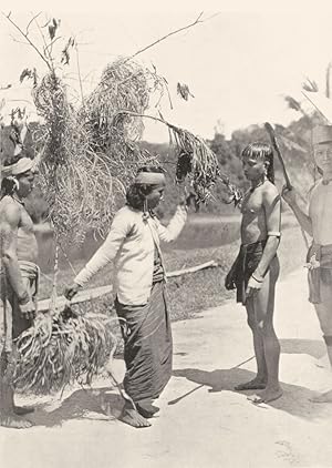 Seller image for Kayan woman dancing with a human head - The women go out to meet the men returning from an expedition, and, taking the heads from them, dance, holding them in their hands. The heads are brought into the gallery not less than four days afterwards, a hut being built for storing them in the meantime. There are scenes of great rejoicing, after which the heads are hung in the gallery beside those already hanging there. The village then goes out of any mourning in which it has been put owing to the death of somebody of importance for sale by Antiqua Print Gallery