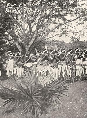 Seller image for A War-dance - The dances of the Fijians are mimetic in character, and constitute a primitive sort of drama. A war-dance is here represented in which the performers are armed with clubs, formerly the principal Fijian weapon for sale by Antiqua Print Gallery