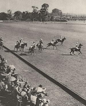 Polo in London : Play along the Boards at Ranelagh