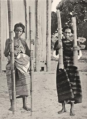 Betsimisaraka Water-Carriers - On the East Coast, where the climate is very hot and damp, the veg...
