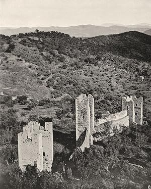 Les ruines du chêteau d'Hyères