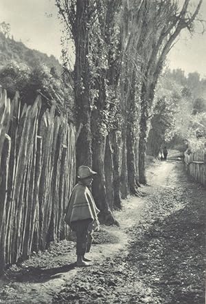 Tenaun (Chiloé)