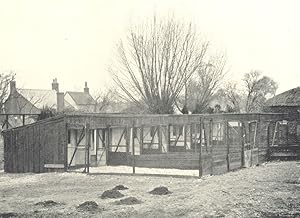 Poultry Houses; Range of Open-Fronted Scratching Sheds