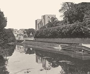 Niort.- Bords de la Sèvre