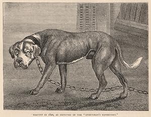 Mastiff in 1820, as Depicted in the "Sportsman's Repository."