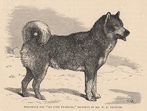 Seller image for Esquimaux Dog "Sir John Franklin," Property of Mr. W.K. Taunton for sale by Antiqua Print Gallery