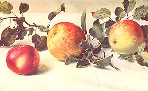 Apples  1. Gascoyne's Scarlet ; 2. Charles Ross; 3. Allington Pippin