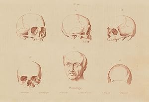 Phrénologie; 1. Port London; 2. Unterberger; 3. Ceracchi; 4. Voleur Prussien; 5. Breguet; 6. Gresset