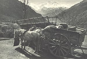 Bild des Verkufers fr Valle del Rio San Francisco. Transporte de Mercaderas en carreta zum Verkauf von Antiqua Print Gallery