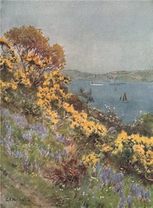 Imagen del vendedor de The Banks of the Fal, Falmouth a la venta por Antiqua Print Gallery