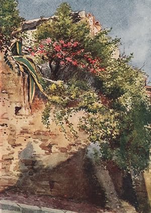 A street corner, Cagnes