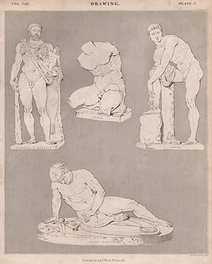 Drawing; Hercules & Telephus; Torso; Jason; Dying Gladiator