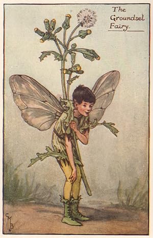 The Groundsel Fairy