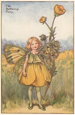 The Buttercup Fairy