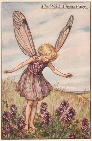 The Wild Thyme Fairy