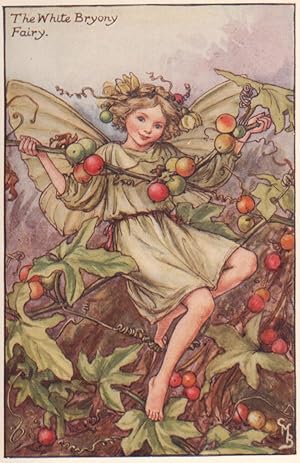 The White Bryony Fairy