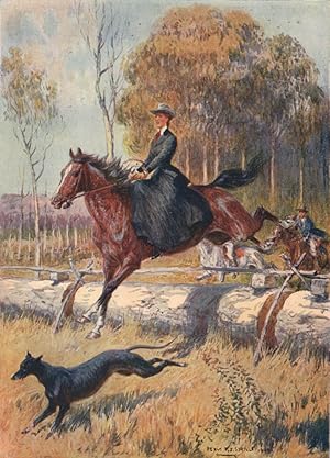 Kangaroo Hunting