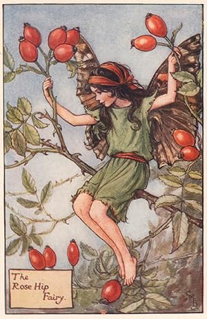 The Rose Hip Fairy