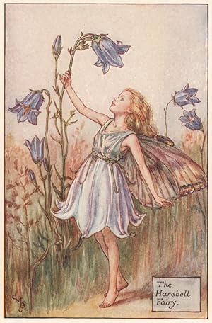 The Harebell Fairy