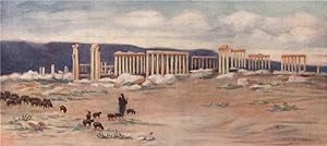 General view of the Colonnade, Palmyra
