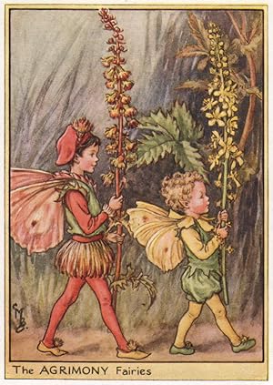 The Agrimony Fairies