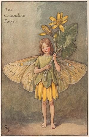 The Celandine Fairy