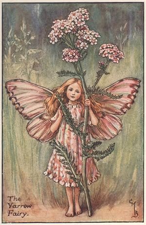 The Yarrow Fairy