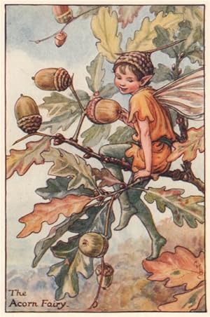 The Acorn Fairy