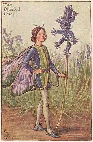 The Bluebell Fairy