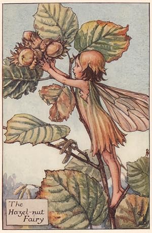 The Hazel-nut Fairy