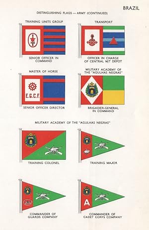 Immagine del venditore per Brazil; Distinguishing Flags-Army (Continued); Training Units Group; Transport; Senior Officer in Command; Officer in Charge of Central M/T Depot; Master of Horse; Military Academy of the "Agulhas Negras"; Senior Officer Director; Brigadier-General in Command; Military Academy of the "Agulhas Negras"; Training Colonel; Training Major; Commander of Guards Company; Commander of Cadet Corps Company venduto da Antiqua Print Gallery