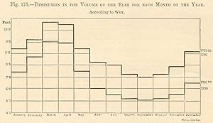Diminution in the Volume of the Elbe for each Month of the Year