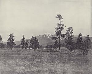 Les Montagnes de San Francisco [The San Francisco Mountains, Arizona]