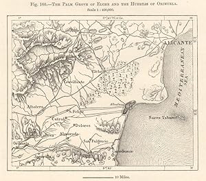 The Palm Grove of Elche and the Huertas of Orihuela