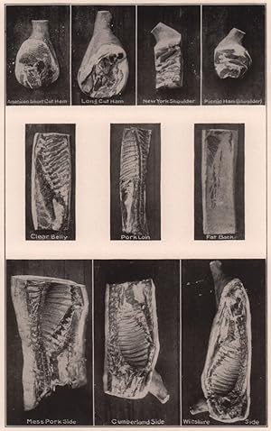 Meat Production : American Short Cut Ham, Long Cut Ham, New York Shoulder, Picnic Ham (Shoulder),...