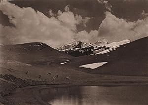 Seller image for A small glacier lake in the region of Chacaltaya at a height of 14,600 feet. No other plants grow here but a few wretched varieties of moss and grass used as fodder for llamas and alpacas, the only animals capables of subsisting on this meagre diet for sale by Antiqua Print Gallery
