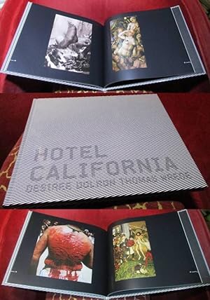 Bild des Verkufers fr Hotel California. Desiree Dolron, Thomas Wrede. Wallraf-Richartz-Museum & Fondation Corboud, zum Verkauf von Antiquariat Clement