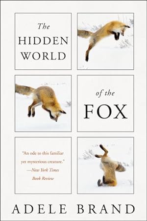 Seller image for Hidden World of the Fox for sale by GreatBookPrices