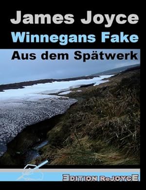 Seller image for Winnegans Fake : Aus dem Sptwerk for sale by AHA-BUCH GmbH