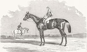 Kingston, The winner of the Goodwood cup, 1852