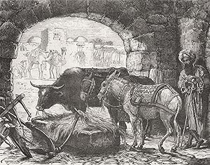 A Stable at Bethlehem