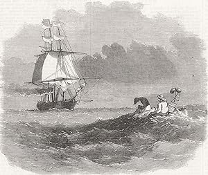 Rescue of Capt. Baker and a seaman by the Royal Mail steamer "England"