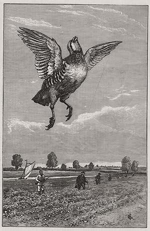 Partridge shooting in Norfolk: a towering Frenchman