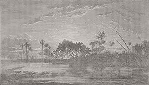 Seller image for Sunset of the Banks of Nile for sale by Antiqua Print Gallery