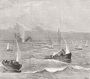 The Loss of the Cape mail steamship "American"
