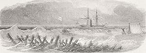 H.M.S. "Alban" rescuing a part of the crew of an American Brigantine in Serranilla Keys