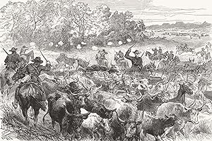 Recovery of Cattle from Basutos - The Basuto War in South Africa